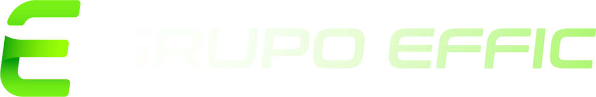 Grupo Effic Investigadores